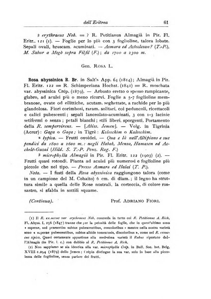 L'agricoltura coloniale organo dell'Istituto agricolo coloniale italiano e dell'Ufficio agrario sperimentale dell'Eritrea