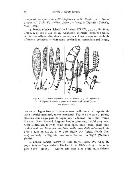 L'agricoltura coloniale organo dell'Istituto agricolo coloniale italiano e dell'Ufficio agrario sperimentale dell'Eritrea