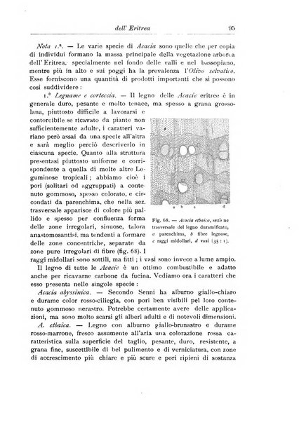 L'agricoltura coloniale organo dell'Istituto agricolo coloniale italiano e dell'Ufficio agrario sperimentale dell'Eritrea