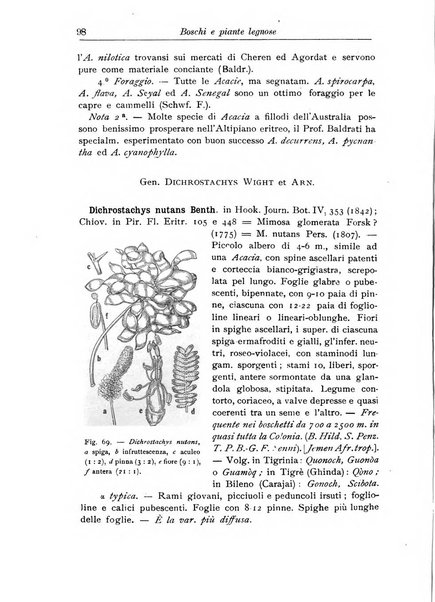 L'agricoltura coloniale organo dell'Istituto agricolo coloniale italiano e dell'Ufficio agrario sperimentale dell'Eritrea