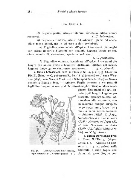 L'agricoltura coloniale organo dell'Istituto agricolo coloniale italiano e dell'Ufficio agrario sperimentale dell'Eritrea