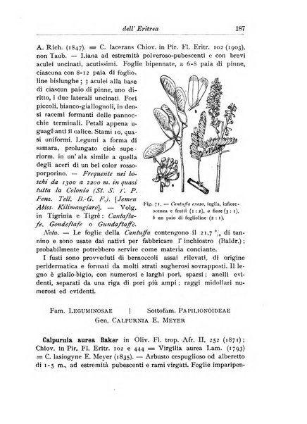 L'agricoltura coloniale organo dell'Istituto agricolo coloniale italiano e dell'Ufficio agrario sperimentale dell'Eritrea