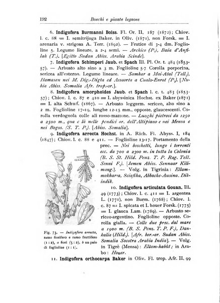 L'agricoltura coloniale organo dell'Istituto agricolo coloniale italiano e dell'Ufficio agrario sperimentale dell'Eritrea