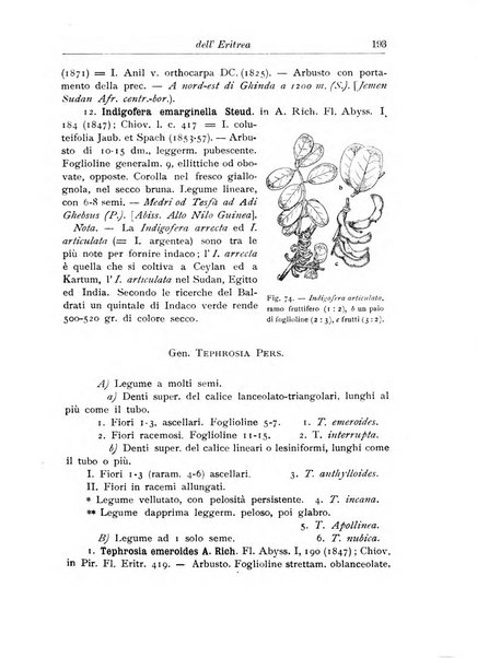 L'agricoltura coloniale organo dell'Istituto agricolo coloniale italiano e dell'Ufficio agrario sperimentale dell'Eritrea