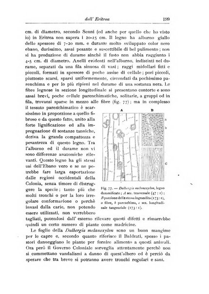 L'agricoltura coloniale organo dell'Istituto agricolo coloniale italiano e dell'Ufficio agrario sperimentale dell'Eritrea