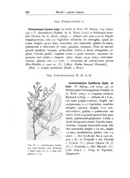 L'agricoltura coloniale organo dell'Istituto agricolo coloniale italiano e dell'Ufficio agrario sperimentale dell'Eritrea