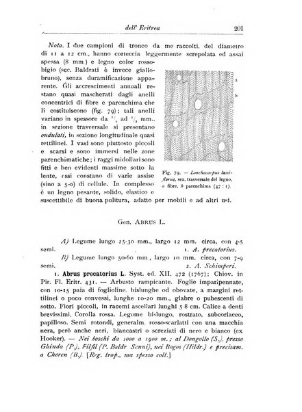 L'agricoltura coloniale organo dell'Istituto agricolo coloniale italiano e dell'Ufficio agrario sperimentale dell'Eritrea