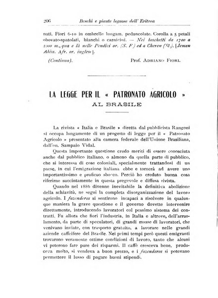 L'agricoltura coloniale organo dell'Istituto agricolo coloniale italiano e dell'Ufficio agrario sperimentale dell'Eritrea