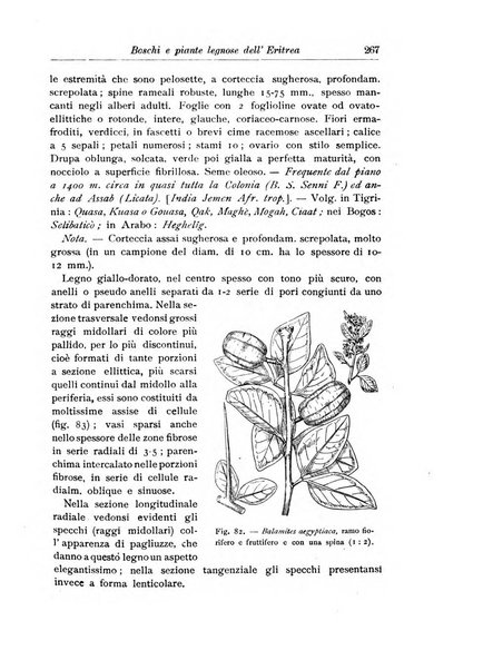 L'agricoltura coloniale organo dell'Istituto agricolo coloniale italiano e dell'Ufficio agrario sperimentale dell'Eritrea