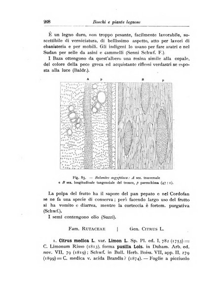 L'agricoltura coloniale organo dell'Istituto agricolo coloniale italiano e dell'Ufficio agrario sperimentale dell'Eritrea