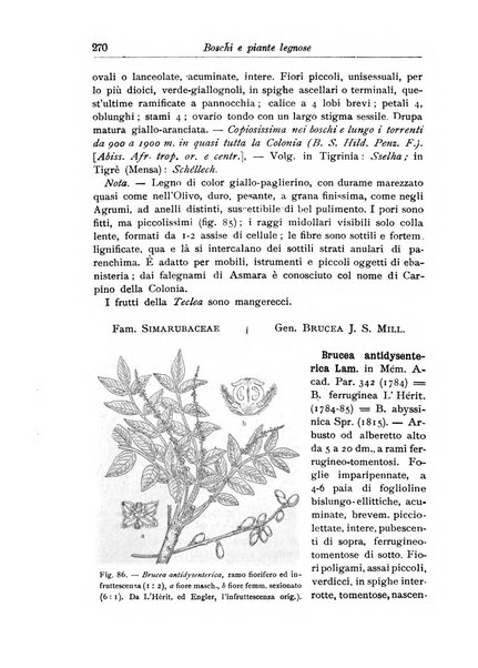 L'agricoltura coloniale organo dell'Istituto agricolo coloniale italiano e dell'Ufficio agrario sperimentale dell'Eritrea