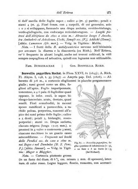 L'agricoltura coloniale organo dell'Istituto agricolo coloniale italiano e dell'Ufficio agrario sperimentale dell'Eritrea