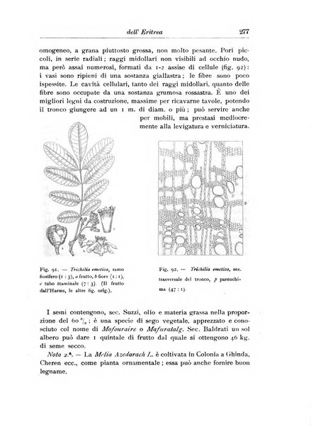 L'agricoltura coloniale organo dell'Istituto agricolo coloniale italiano e dell'Ufficio agrario sperimentale dell'Eritrea