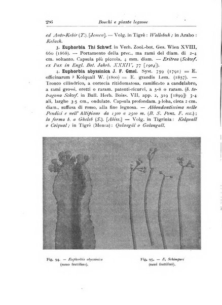 L'agricoltura coloniale organo dell'Istituto agricolo coloniale italiano e dell'Ufficio agrario sperimentale dell'Eritrea