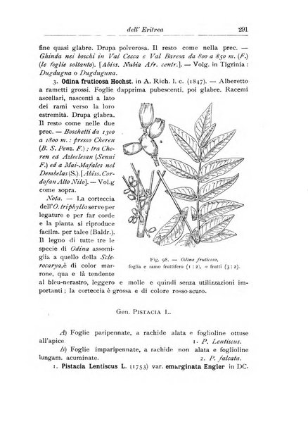 L'agricoltura coloniale organo dell'Istituto agricolo coloniale italiano e dell'Ufficio agrario sperimentale dell'Eritrea