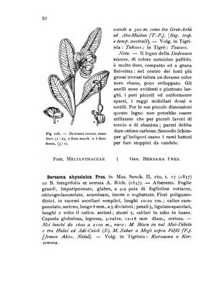 L'agricoltura coloniale organo dell'Istituto agricolo coloniale italiano e dell'Ufficio agrario sperimentale dell'Eritrea