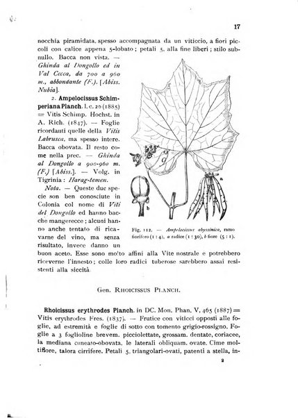 L'agricoltura coloniale organo dell'Istituto agricolo coloniale italiano e dell'Ufficio agrario sperimentale dell'Eritrea