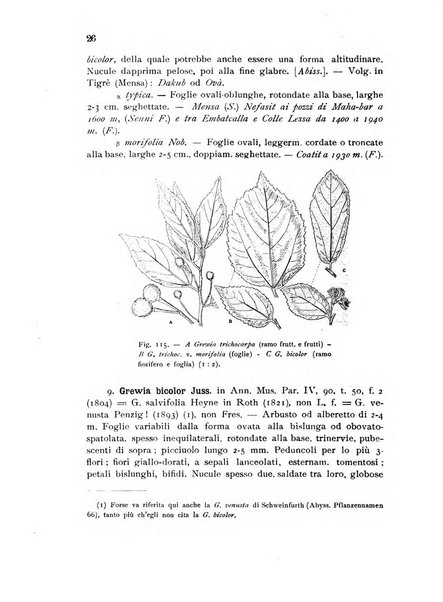 L'agricoltura coloniale organo dell'Istituto agricolo coloniale italiano e dell'Ufficio agrario sperimentale dell'Eritrea