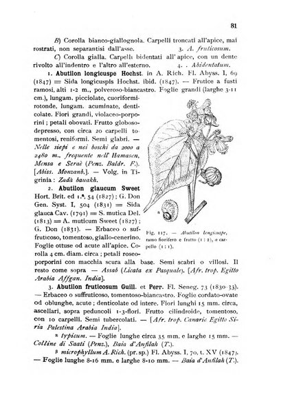 L'agricoltura coloniale organo dell'Istituto agricolo coloniale italiano e dell'Ufficio agrario sperimentale dell'Eritrea