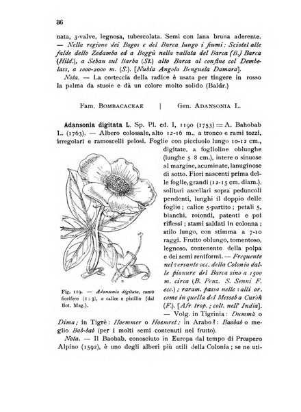 L'agricoltura coloniale organo dell'Istituto agricolo coloniale italiano e dell'Ufficio agrario sperimentale dell'Eritrea