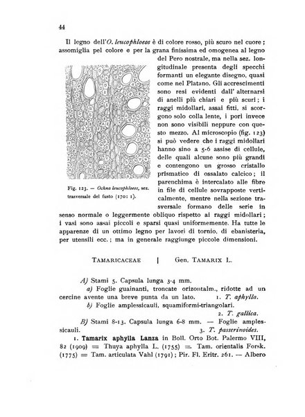 L'agricoltura coloniale organo dell'Istituto agricolo coloniale italiano e dell'Ufficio agrario sperimentale dell'Eritrea