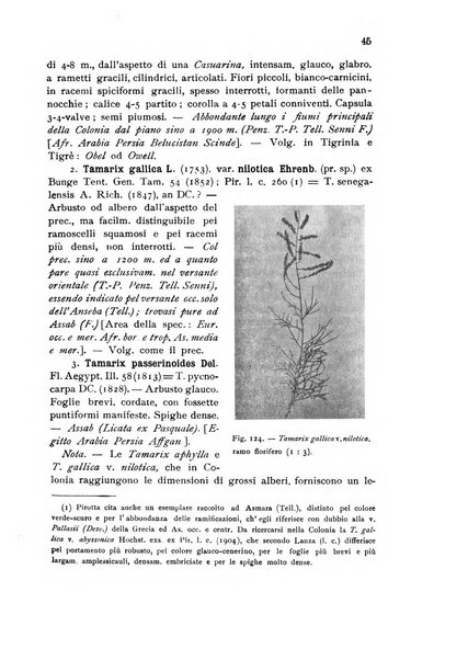 L'agricoltura coloniale organo dell'Istituto agricolo coloniale italiano e dell'Ufficio agrario sperimentale dell'Eritrea