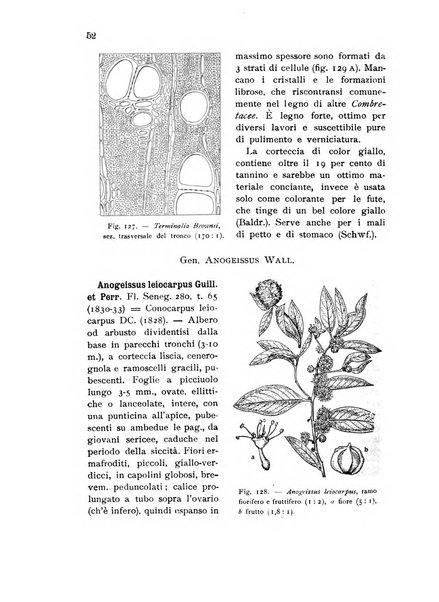 L'agricoltura coloniale organo dell'Istituto agricolo coloniale italiano e dell'Ufficio agrario sperimentale dell'Eritrea