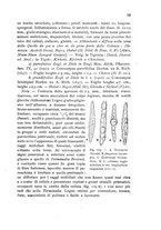 giornale/TO00199161/1911/unico/00000657