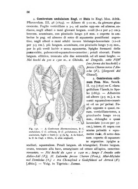 L'agricoltura coloniale organo dell'Istituto agricolo coloniale italiano e dell'Ufficio agrario sperimentale dell'Eritrea