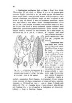 giornale/TO00199161/1911/unico/00000660