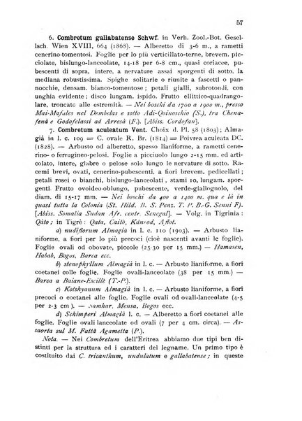 L'agricoltura coloniale organo dell'Istituto agricolo coloniale italiano e dell'Ufficio agrario sperimentale dell'Eritrea