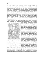 giornale/TO00199161/1911/unico/00000662