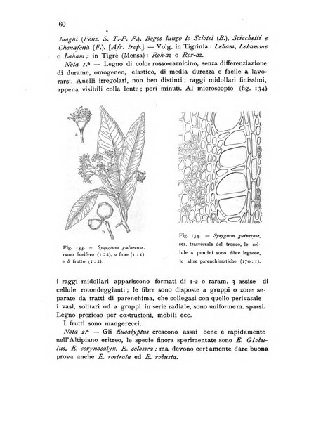 L'agricoltura coloniale organo dell'Istituto agricolo coloniale italiano e dell'Ufficio agrario sperimentale dell'Eritrea