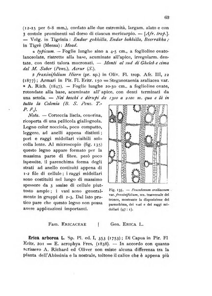 L'agricoltura coloniale organo dell'Istituto agricolo coloniale italiano e dell'Ufficio agrario sperimentale dell'Eritrea