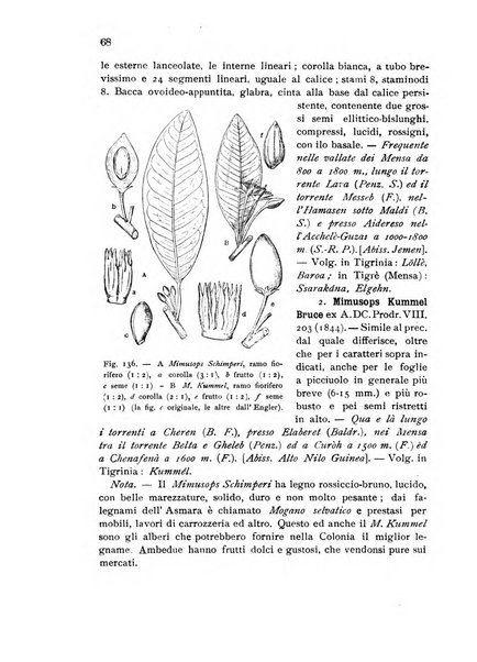 L'agricoltura coloniale organo dell'Istituto agricolo coloniale italiano e dell'Ufficio agrario sperimentale dell'Eritrea