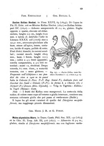 L'agricoltura coloniale organo dell'Istituto agricolo coloniale italiano e dell'Ufficio agrario sperimentale dell'Eritrea