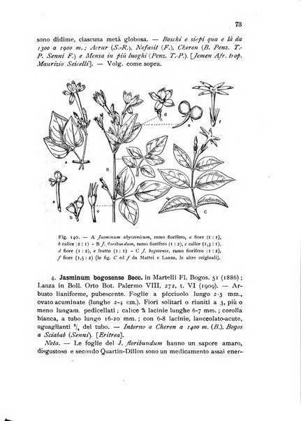 L'agricoltura coloniale organo dell'Istituto agricolo coloniale italiano e dell'Ufficio agrario sperimentale dell'Eritrea