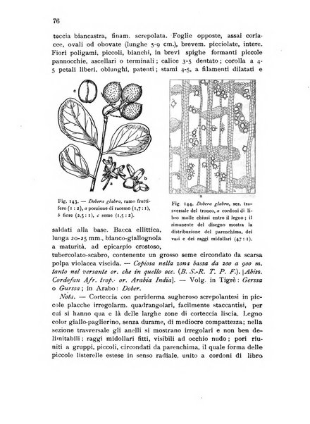 L'agricoltura coloniale organo dell'Istituto agricolo coloniale italiano e dell'Ufficio agrario sperimentale dell'Eritrea