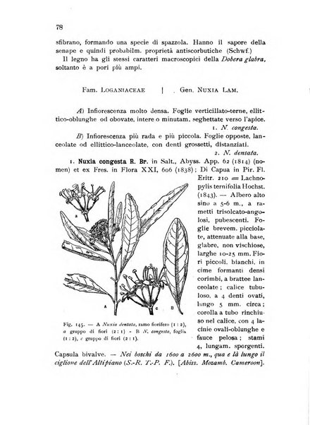 L'agricoltura coloniale organo dell'Istituto agricolo coloniale italiano e dell'Ufficio agrario sperimentale dell'Eritrea