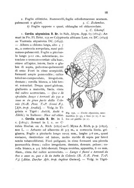 L'agricoltura coloniale organo dell'Istituto agricolo coloniale italiano e dell'Ufficio agrario sperimentale dell'Eritrea