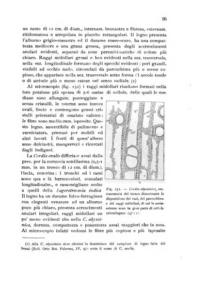 L'agricoltura coloniale organo dell'Istituto agricolo coloniale italiano e dell'Ufficio agrario sperimentale dell'Eritrea