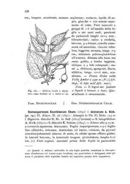 L'agricoltura coloniale organo dell'Istituto agricolo coloniale italiano e dell'Ufficio agrario sperimentale dell'Eritrea