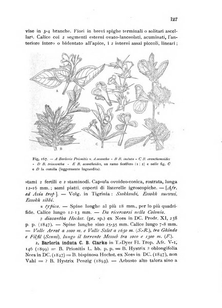 L'agricoltura coloniale organo dell'Istituto agricolo coloniale italiano e dell'Ufficio agrario sperimentale dell'Eritrea