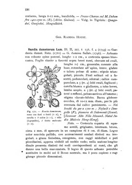 L'agricoltura coloniale organo dell'Istituto agricolo coloniale italiano e dell'Ufficio agrario sperimentale dell'Eritrea