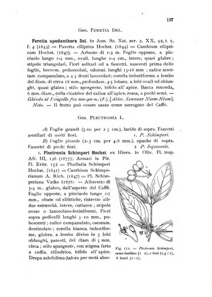 L'agricoltura coloniale organo dell'Istituto agricolo coloniale italiano e dell'Ufficio agrario sperimentale dell'Eritrea