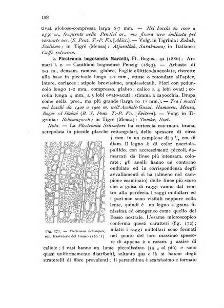 L'agricoltura coloniale organo dell'Istituto agricolo coloniale italiano e dell'Ufficio agrario sperimentale dell'Eritrea