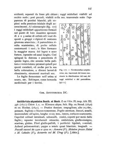 L'agricoltura coloniale organo dell'Istituto agricolo coloniale italiano e dell'Ufficio agrario sperimentale dell'Eritrea