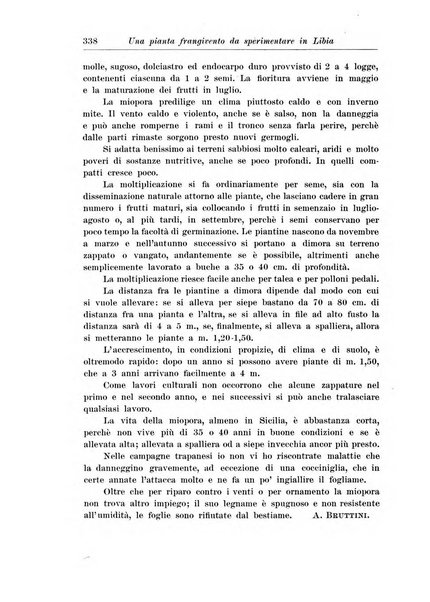 L'agricoltura coloniale organo dell'Istituto agricolo coloniale italiano e dell'Ufficio agrario sperimentale dell'Eritrea