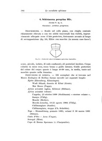 L'agricoltura coloniale organo dell'Istituto agricolo coloniale italiano e dell'Ufficio agrario sperimentale dell'Eritrea