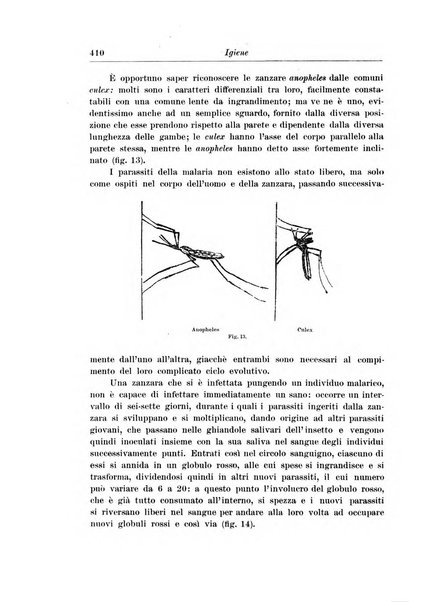 L'agricoltura coloniale organo dell'Istituto agricolo coloniale italiano e dell'Ufficio agrario sperimentale dell'Eritrea